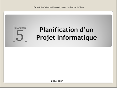 Planification d’un Projet Informatique